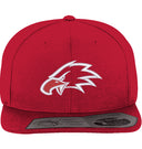Eagle Fitted Snapback