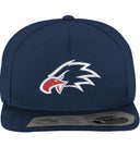 Eagle Fitted Snapback